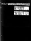 Couple hanging plaque for E.B. Ficklen Tobacco Co., division of Carolina Leaf Tobacco Co., Inc (6 Negatives), June 17-19, 1964 [Sleeve 51, Folder b, Box 33]